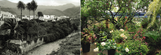 Izquierda: Huerto de las flores en Agaete (Foto: Francisco Rojas Fariñas). Derecha: Jardn exuberante en una antigua casona en Santa Brigida. Gran Canaria.