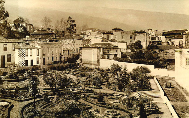 Diseño y plantación de la Hijuela, La Orotava a fines del siglo XIX