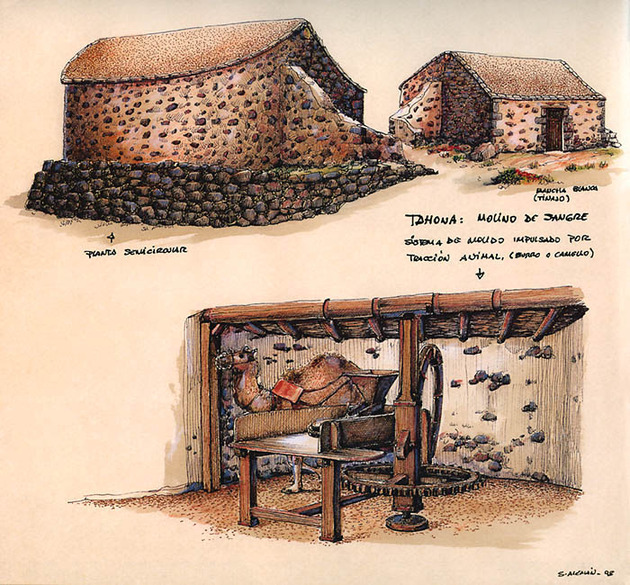 Tahona ubicada en Tinajo, Lanzarote (dibujo: Santiago Alemán en Tesoros de la isla. Cabildo de Lanzarote, Arrecife, 2000.)