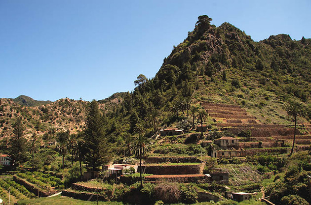 La disposición de las edificaciones, además de salvaguardar la tierra productiva, también evita el riesgo que suponen los cauces de los barrancos y sus lechos de inundación. La Banda de las Rosas, barranco del Ingenio, Vallehermoso, La Gomera.