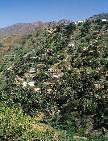 Casero y palmeral de Tamargada, en La Gomera