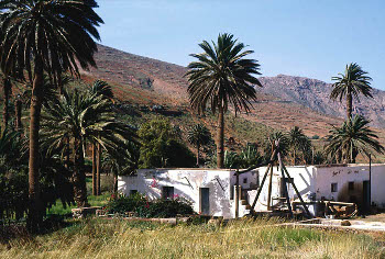 El agua procedente de pozos someros permitió generar pequeños oasis en algunas áreas desérticas del Archipiélago, como Fuerteventura.